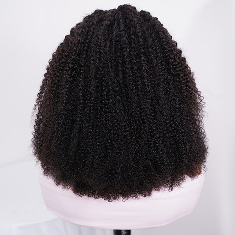 Pre-Braided Front Afro Curly 10x6 Parting Max Glueless Wigs Fulani Braids Curly Human Hair Wear Go Wigs